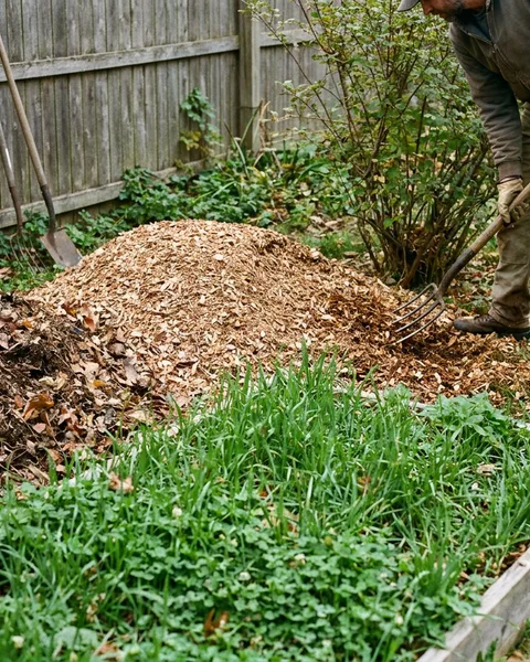 Three free ways to feed your soil
