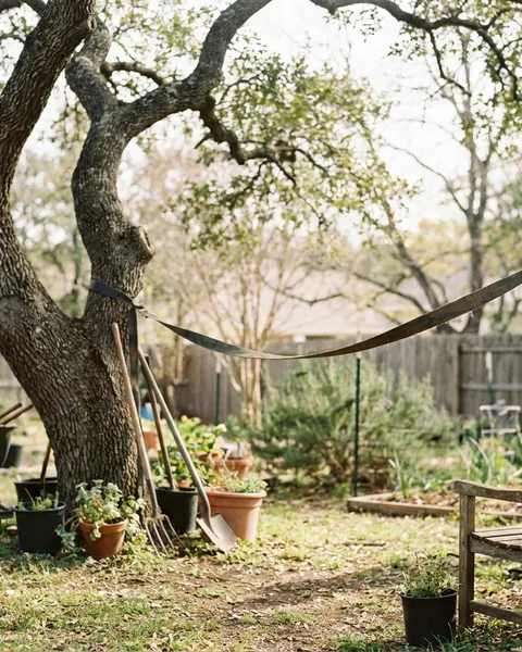 Hang a slackline without hurting your trees