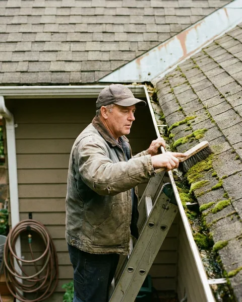Moss on the roof and the zinc strip