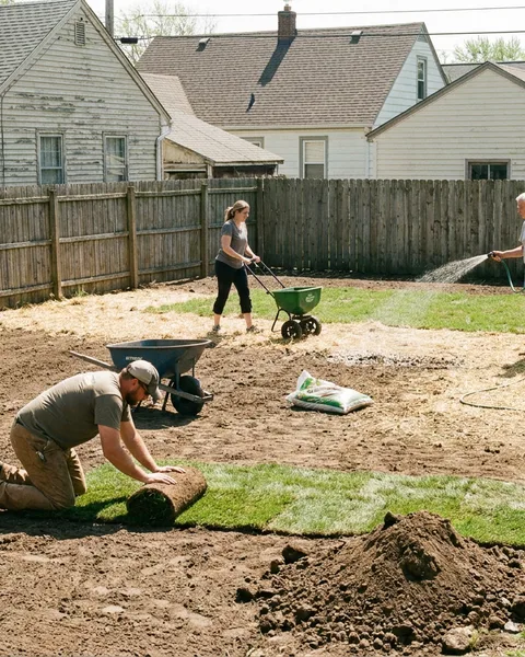 Sod is a Saturday. Seed is a summer.
