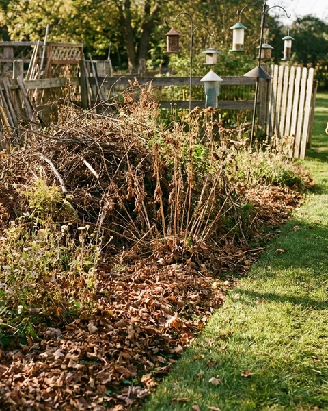 The Brush Pile Birds Call Home