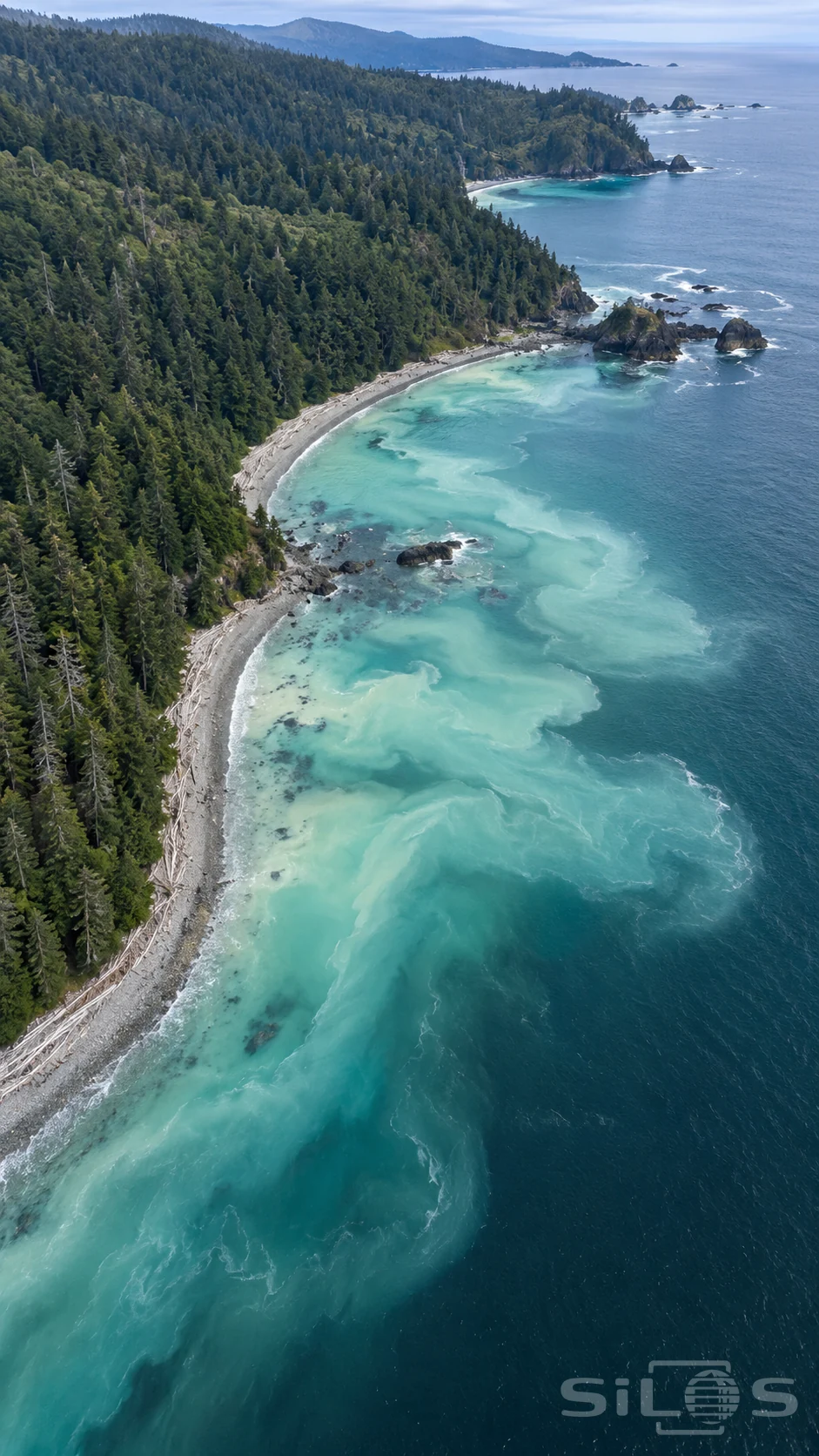 Herring spawn creates milky turquoise water along a forested coastline with pale beaches and dark offshore rocks.