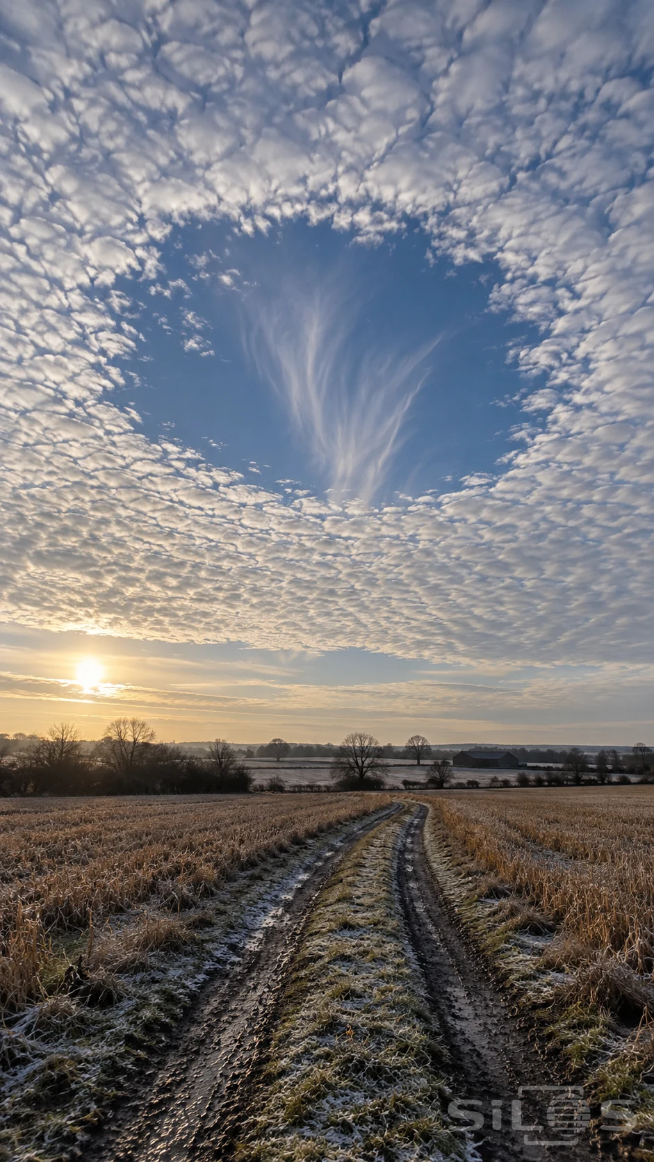 A fallstreak hole with pale wisps fills the sky above frosted winter fields and a muddy two-track lane.
