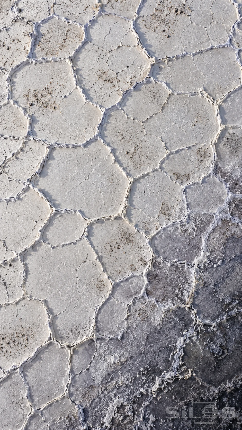 White salt polygons fill the overhead view, their rough raised edges casting fine shadows beside a darker band.