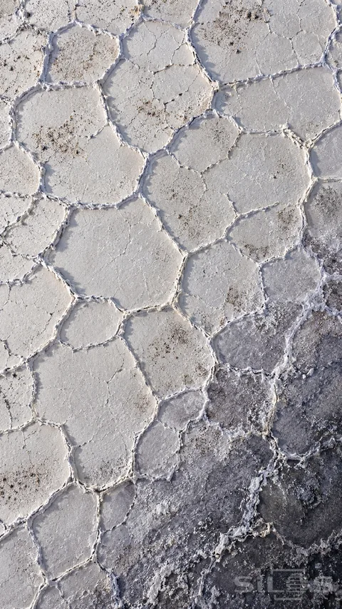 White salt polygons fill the overhead view; their rough raised edges casting fine shadows beside a darker band.