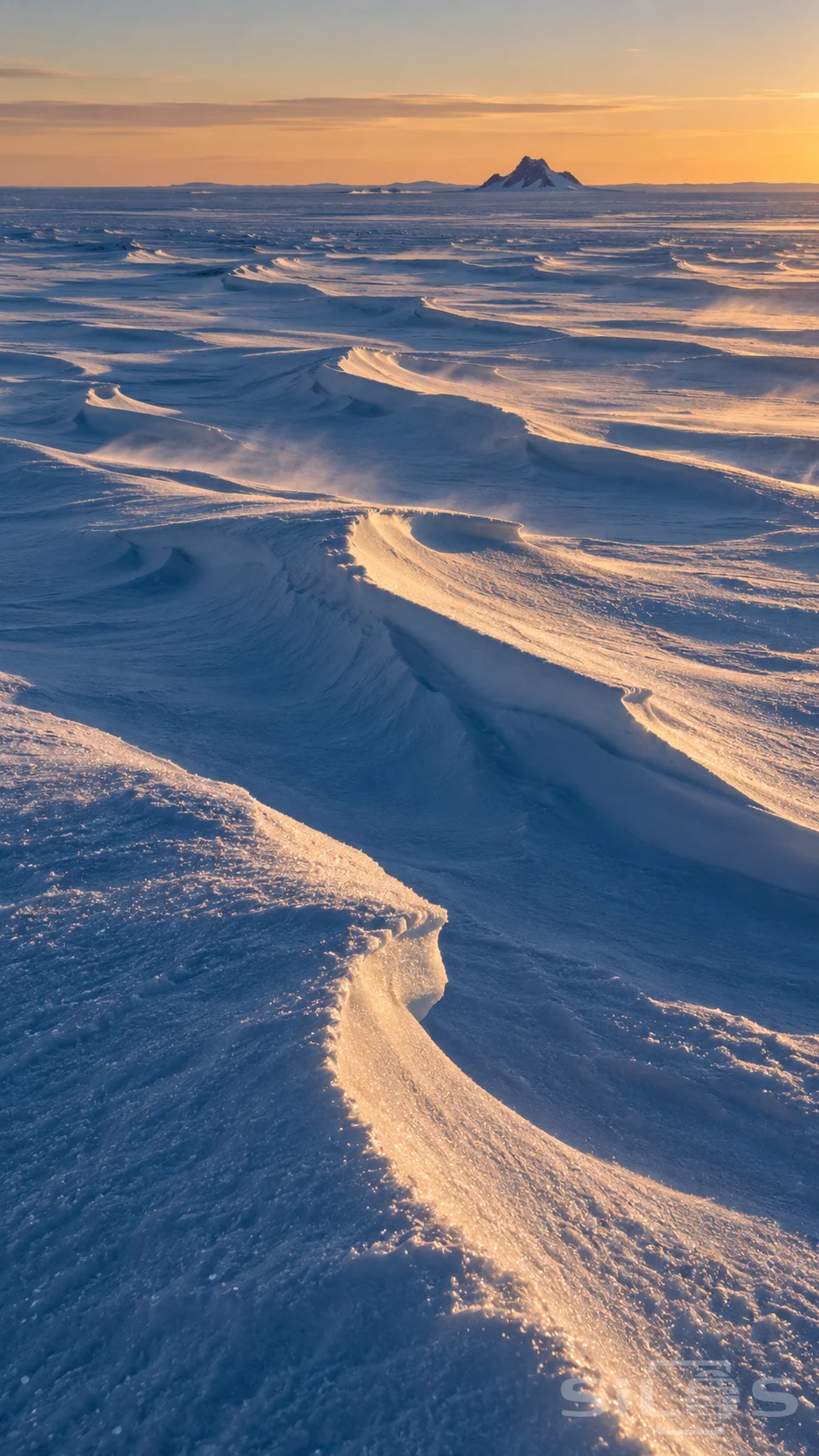 Sastrugi snow forms low sharp ridges across an empty polar plateau with blue troughs and warm evening light.