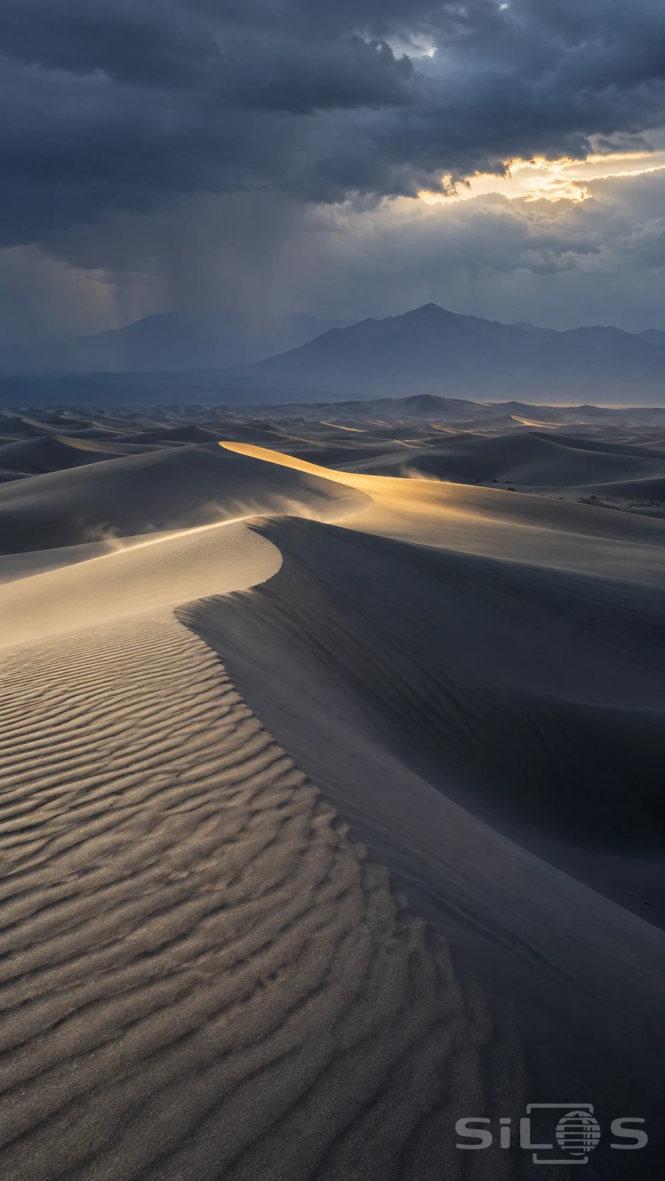 Storm light crosses a curving sand ridge beneath dark blue clouds, with fine ripples and shaded dune hollows in the foreground.