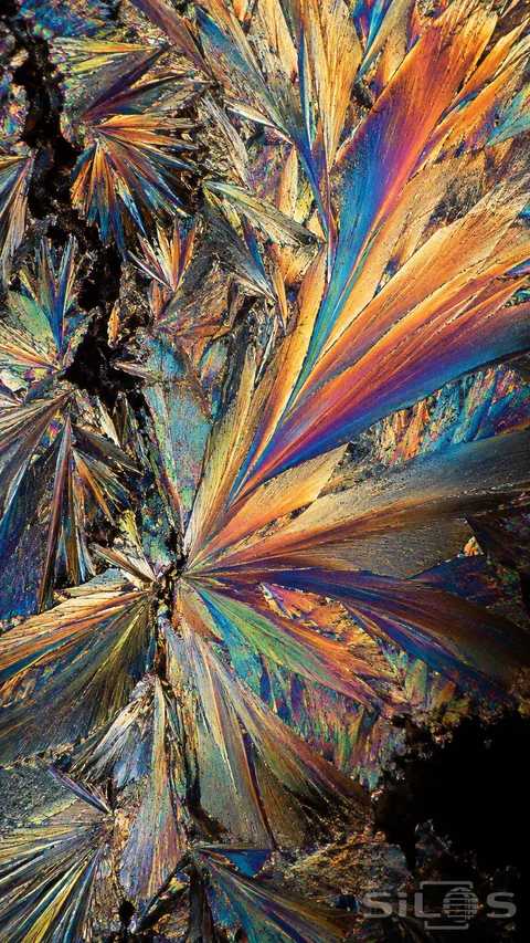 Polarized crystal patterns with branching needles; translucent feather-like fans and amber; cyan and indigo interference colors.