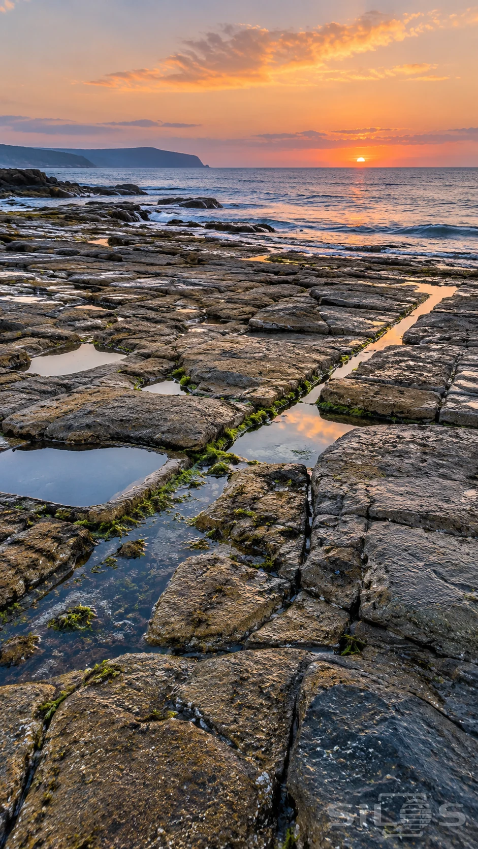 A tessellated shoreline with tidal rock pools and green algae beneath an orange sunset over a calm blue bay.