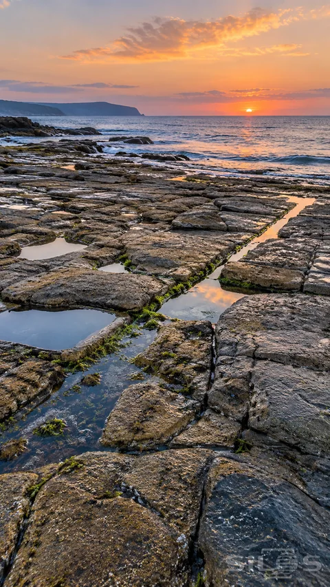 A tessellated shoreline with tidal rock pools and green algae beneath an orange sunset over a calm blue bay.