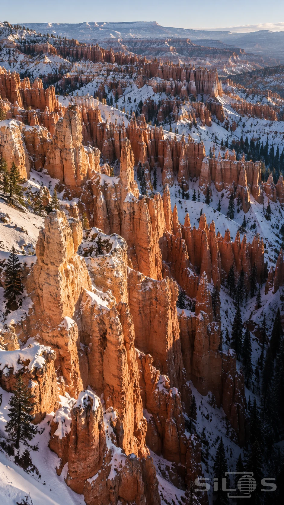 Orange hoodoos with rough pale caps rise between snowy gullies and dark conifers in a broad sunlit canyon amphitheater.