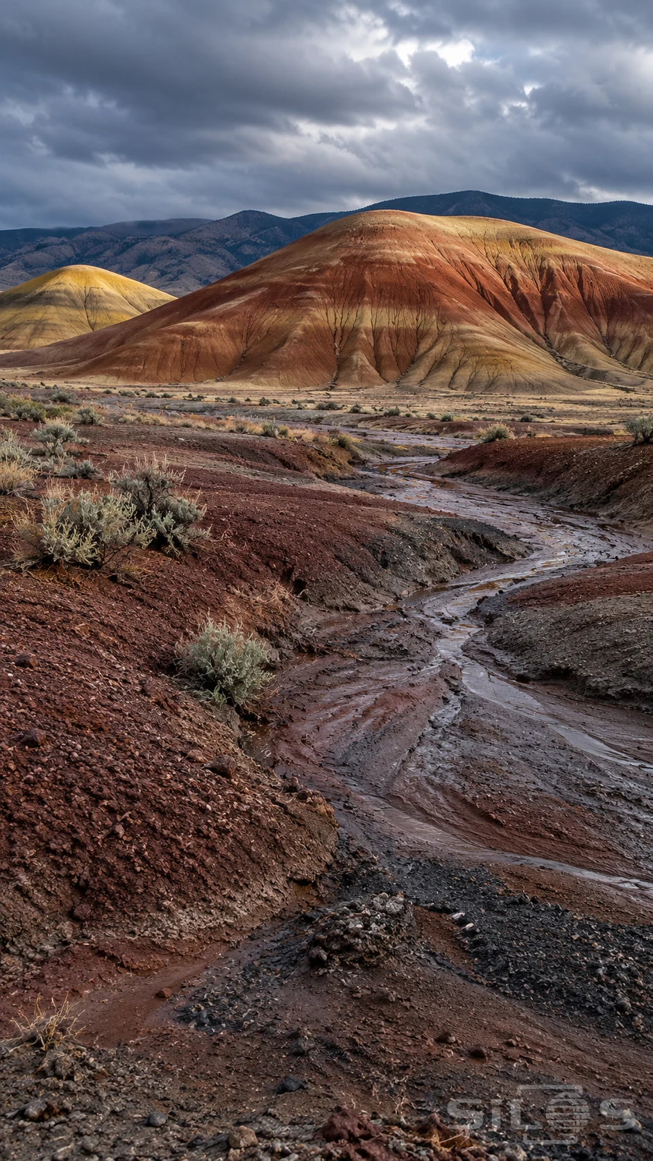 Red and ochre painted hills rise beneath rain clouds beyond a winding drainage channel and sparse sage-colored plants.