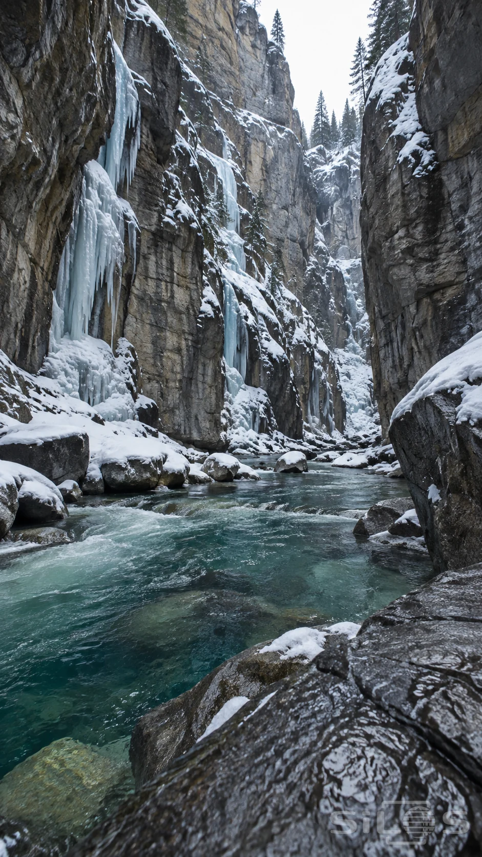 Icefall chasm river between steep fractured cliffs, pale blue frozen waterfalls, snow-covered boulders and distant pine trees.