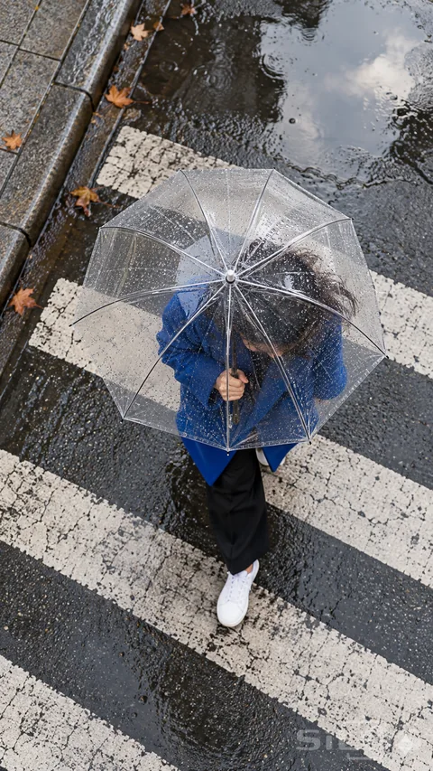 A clear umbrella and cobalt coat cross rain-dark street markings from above
