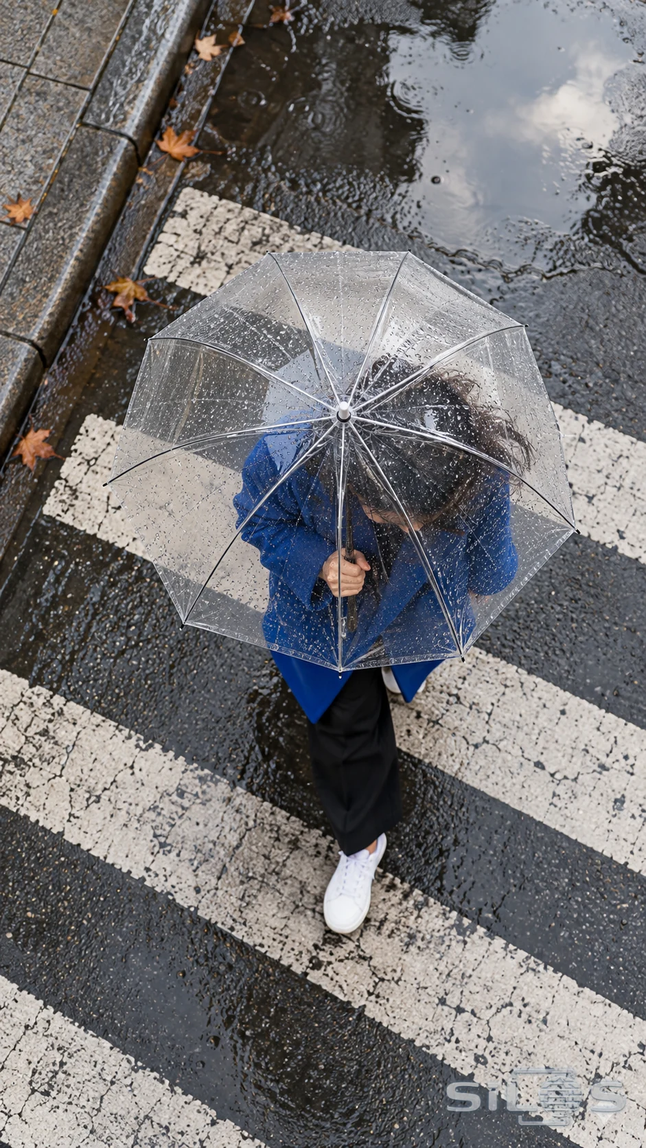 A clear umbrella and cobalt coat cross rain-dark street markings from above