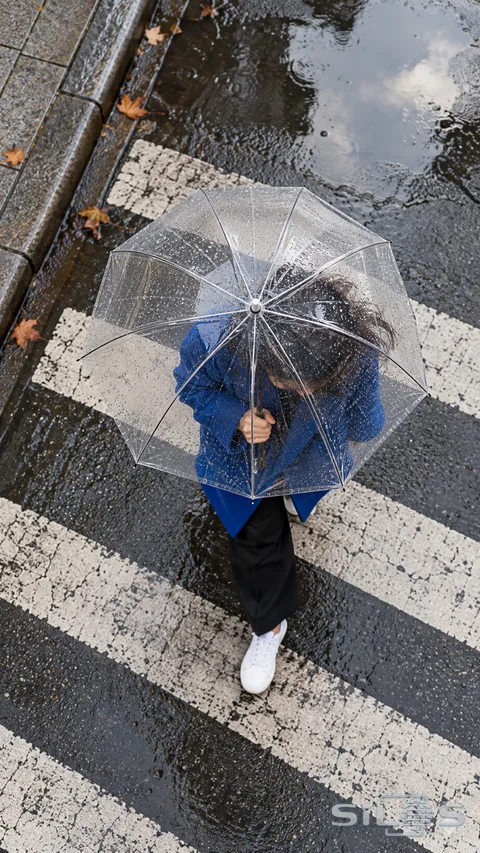 A clear umbrella and cobalt coat cross rain-dark street markings from above