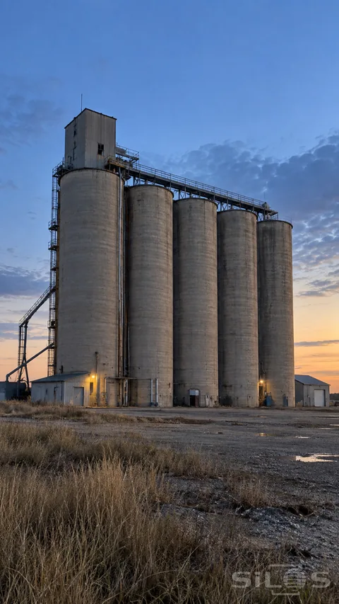 Tall plain concrete grain silos rise beyond dry grass beneath a muted blue-hour sky.