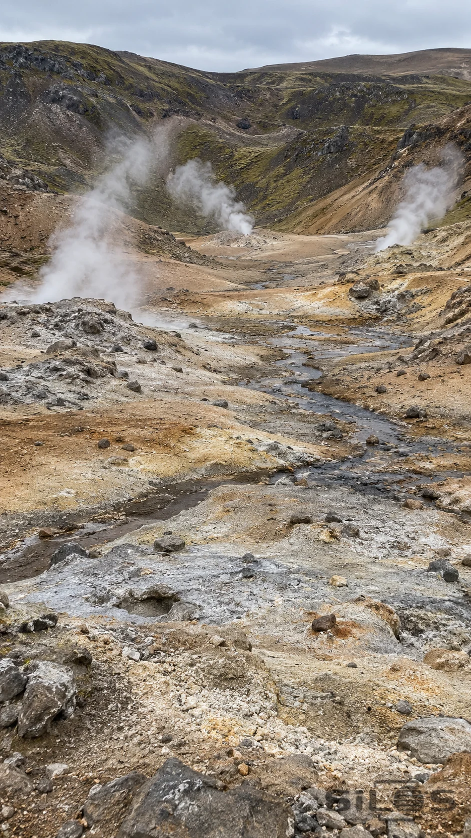 Soft steam rises from mineral vents across a broad ochre geothermal valley.