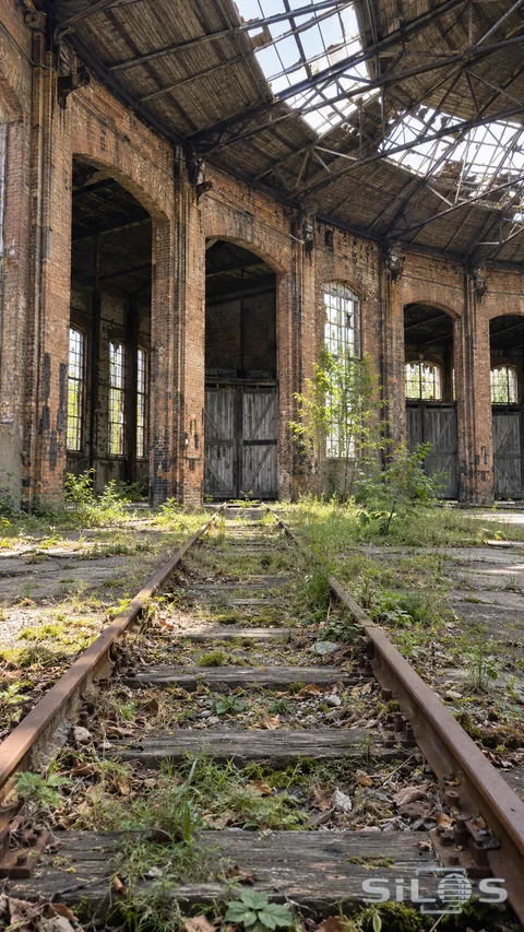 Small trees and grasses grow around old rails beneath the weathered roof of an empty locomotive roundhouse.