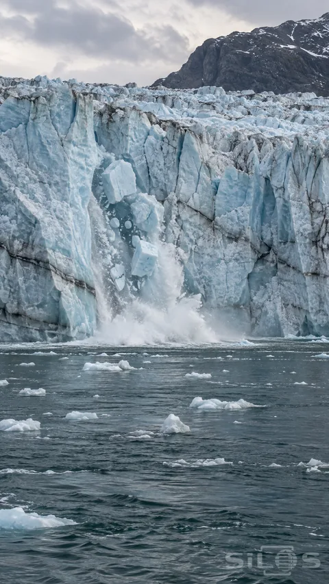 A continuous blue-white glacier front with a ragged recess, falling ice fragments and a connected white splash at the waterline, dark rippled water and scattered floating ice in the foreground.