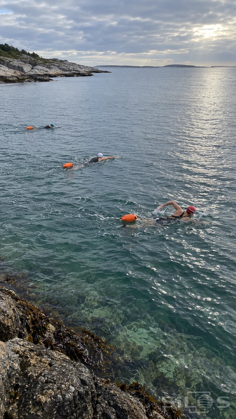 Three adult swimmers at separate distances in coastal water, with coral-red, white and teal caps and three trailing orange floats beside rocks.