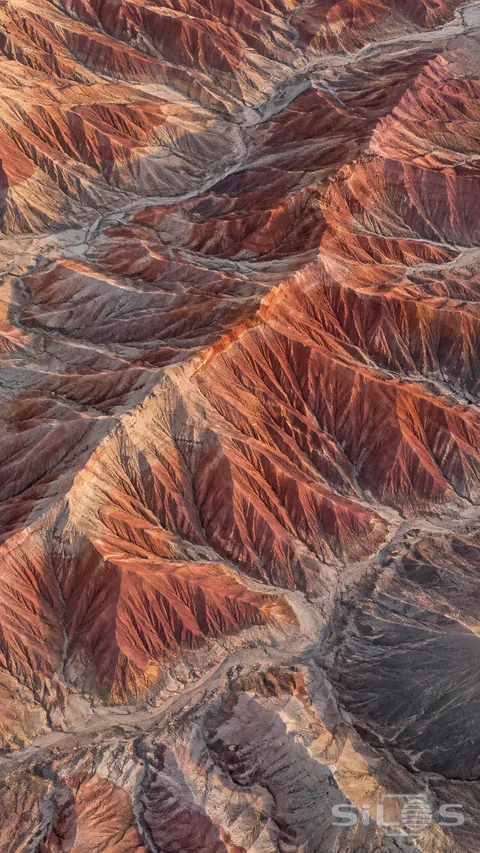 Eroded red and pale clay ridges form a branching pattern seen from above