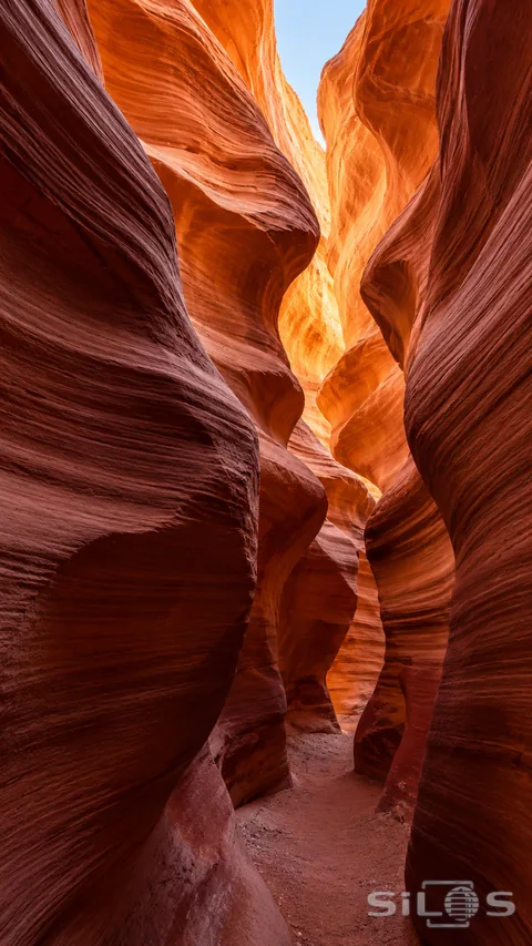 Warm reflected light reveals flowing sandstone walls above a narrow shaded passage