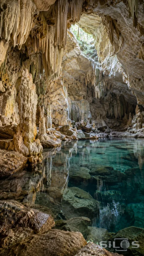 A still cave pool reflects pale limestone columns beneath a small daylight opening