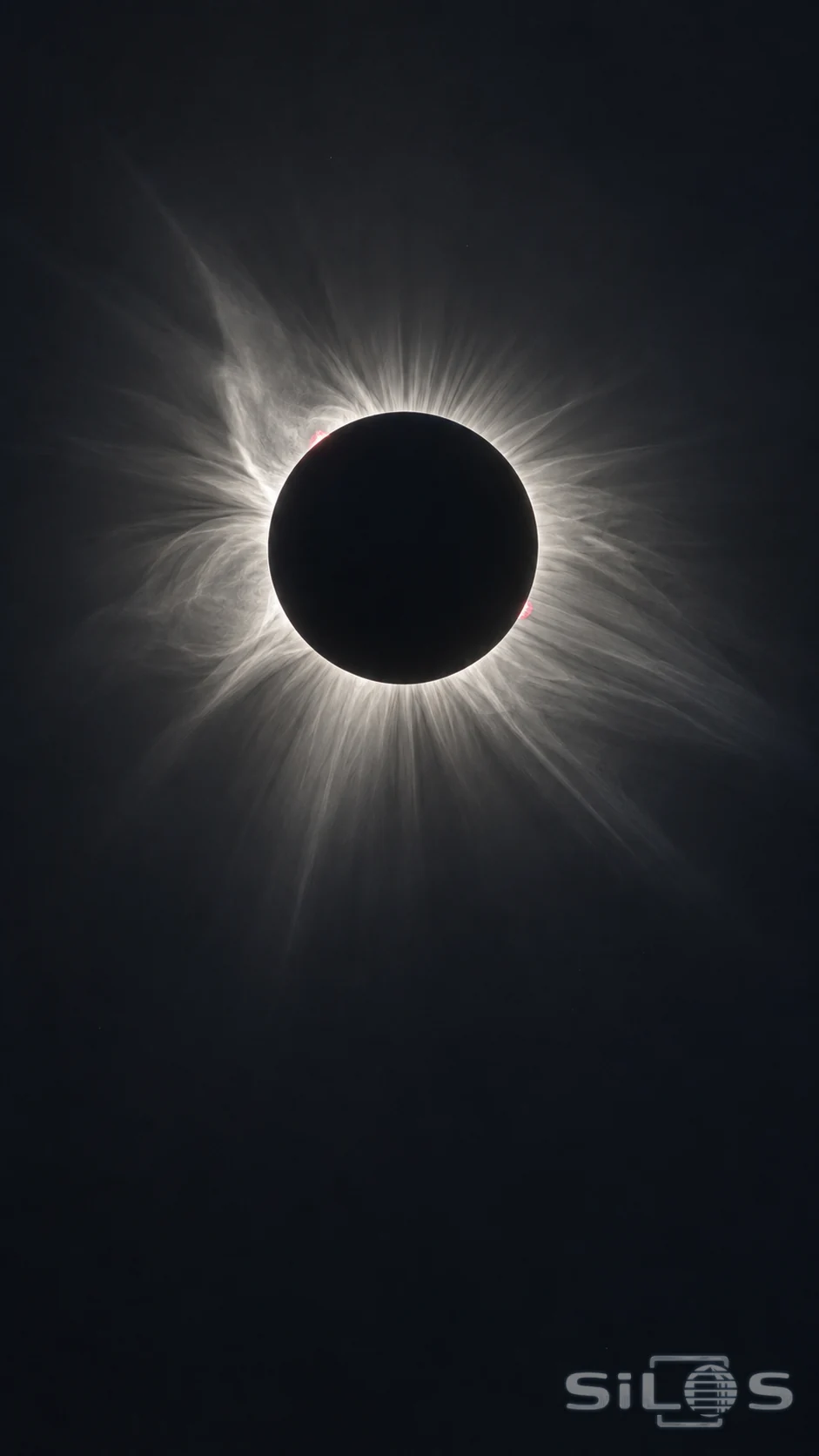 A dark lunar disk is surrounded by a fine white solar corona and tiny pink prominences