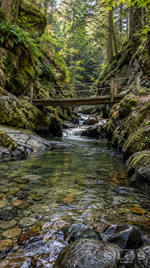 A narrow wooden footbridge crosses a clear stream between mossy canyon walls