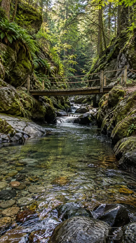 A narrow wooden footbridge crosses a clear stream between mossy canyon walls