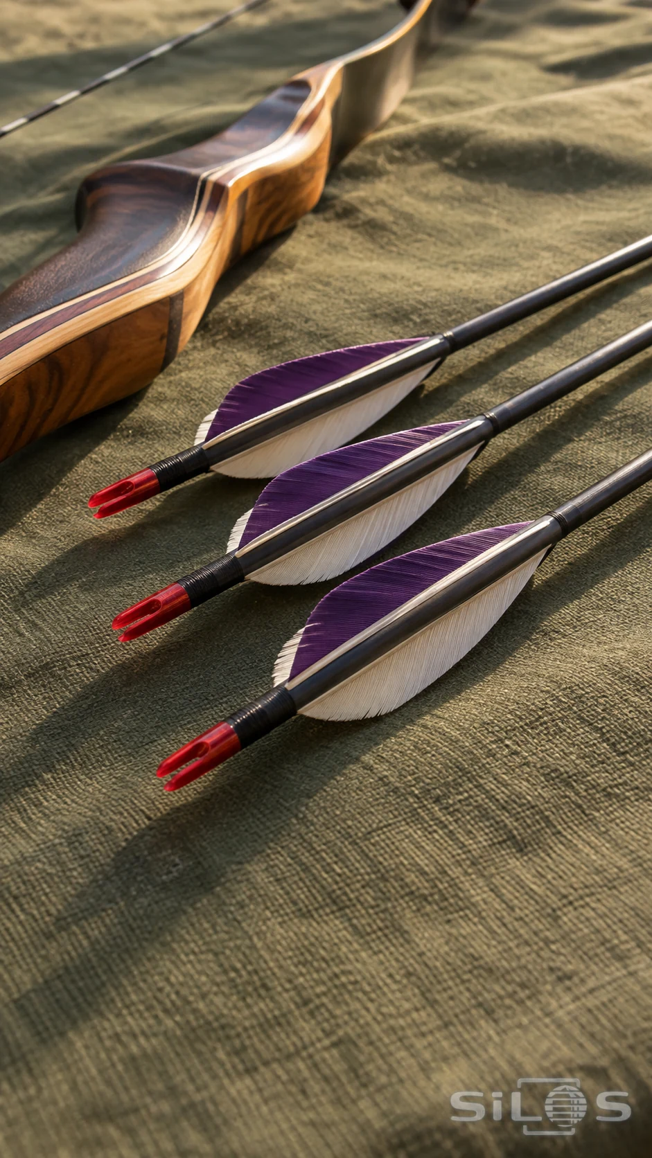 Three dark target arrows with violet and cream feather fletching and red nocks lie beside a wooden recurve bow on olive canvas.