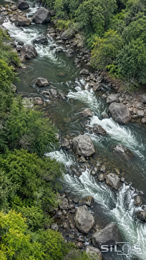A high elevated view follows olive-green river water and broken whitewater streaks around varied dark boulders between densely wooded banks.