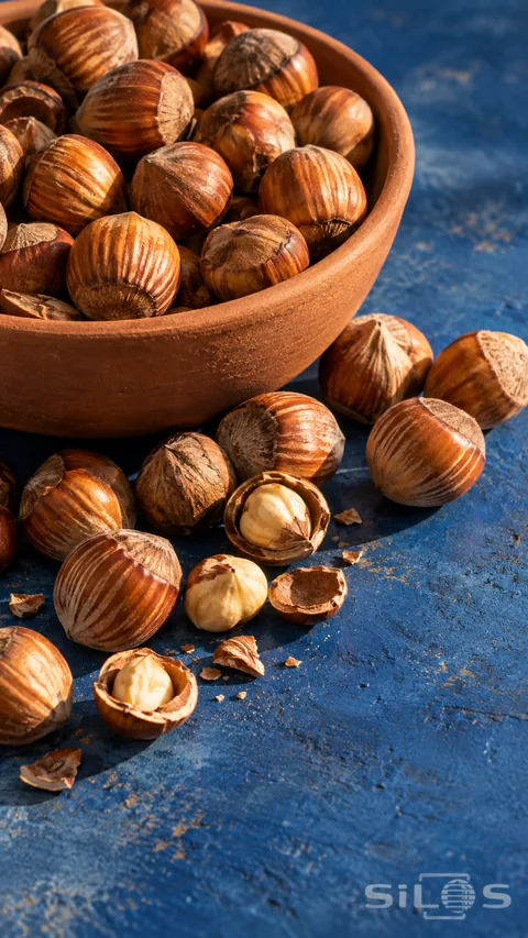 Hazelnuts in a terracotta bowl with cracked shells and kernels scattered across a cobalt-blue table.