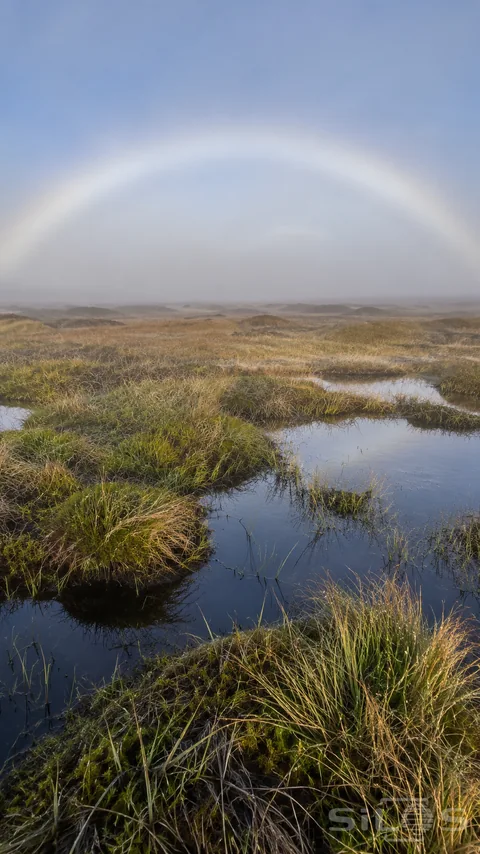 A broad nearly white fogbow hangs over a misty open moor, above damp grasses and shallow reflective pools.