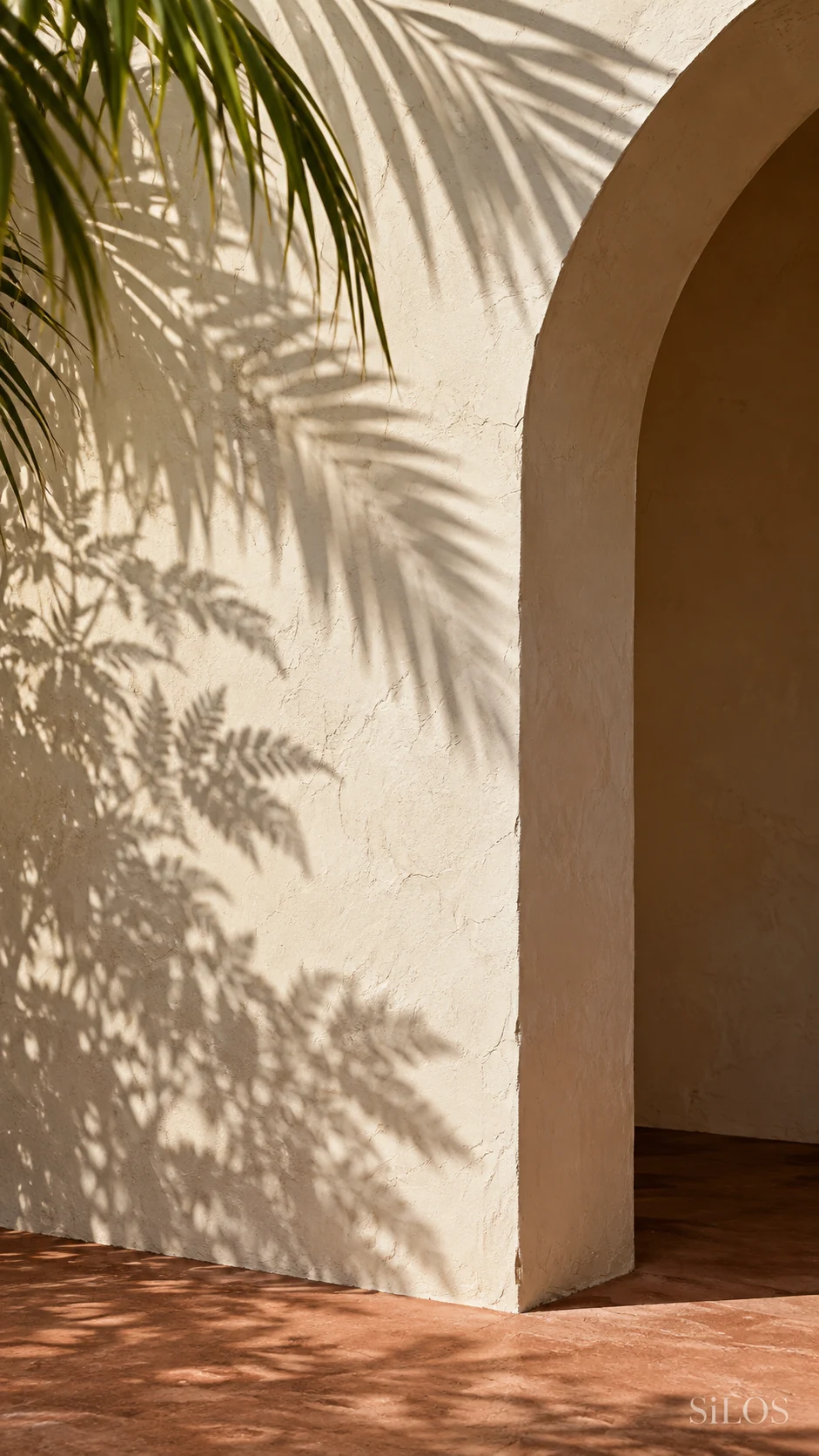 Leaf shadows and a curved arch turn warm plaster into a quiet study of light and texture.
